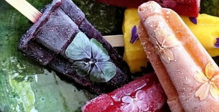 Tasty Blooms huurt koelcel voor bewaren eetbare bloemen — projectafbeelding 1